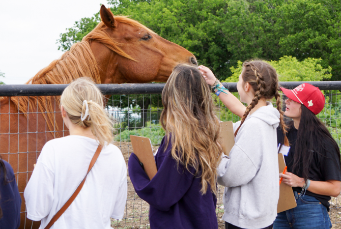 students petting horse