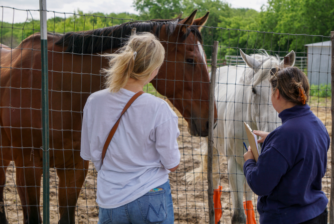 student petting horse