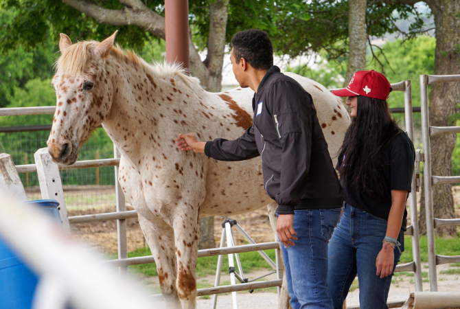 students petting horse